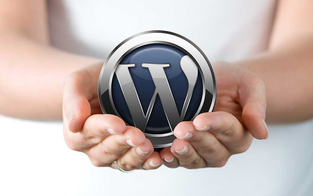 WordPress Sitesi Kurulumunda Nelere Dikkat Edilmeli?