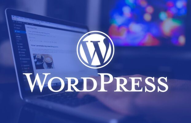 WordPress Kurulum Hizmeti: İnternet Dünyasına Adımınızı Atın