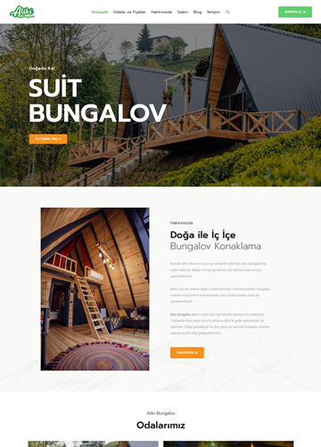 rizealikibungalov.com